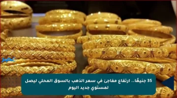 35 جنيهًا.. ارتفاع مفاجئ في سعر الذهب بالسوق المحلي ليصل لمستوى جديد اليوم